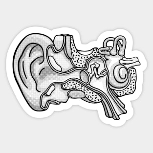 Duotone Illustration of Inner Ear Anatomy Sticker